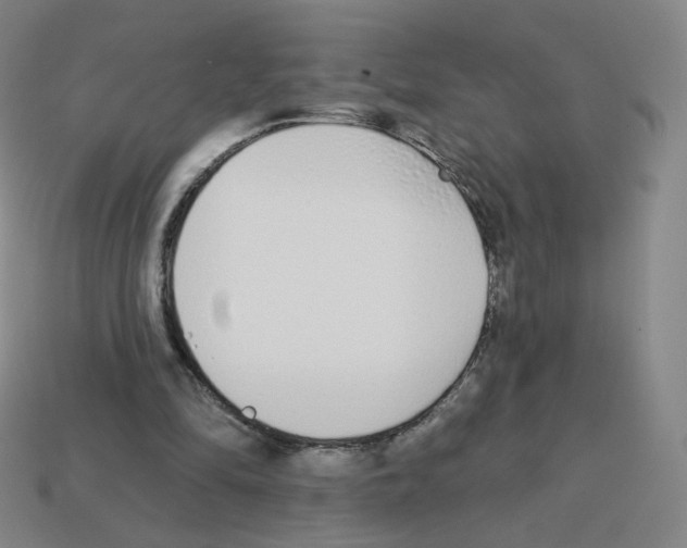 X0000112760294200910011221