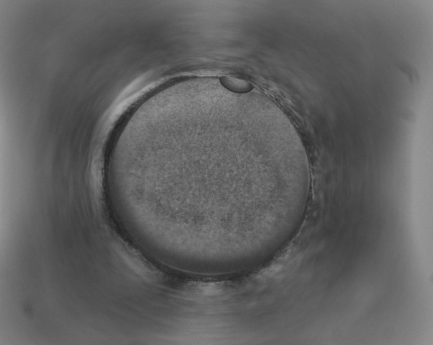 X0000112760295200910011221