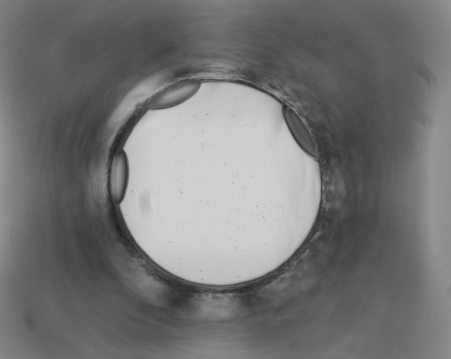 X0000112760296200910011221