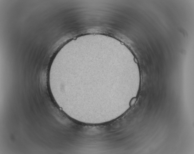 X0000112760297200910011221
