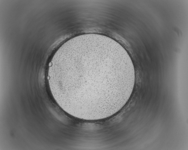 X0000112760298200910011221