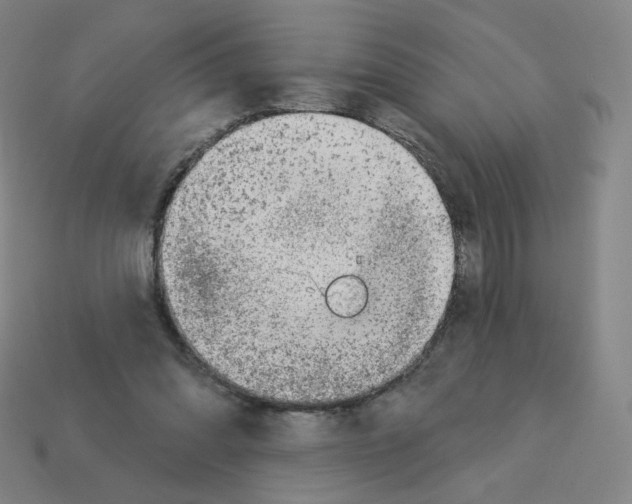 X0000112760302200910011221