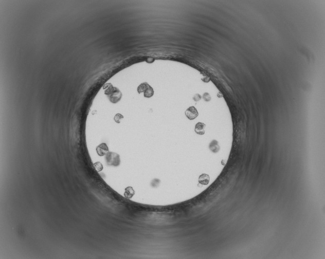 X0000112760303200910011221