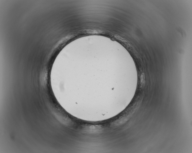 X0000112760304200910011221