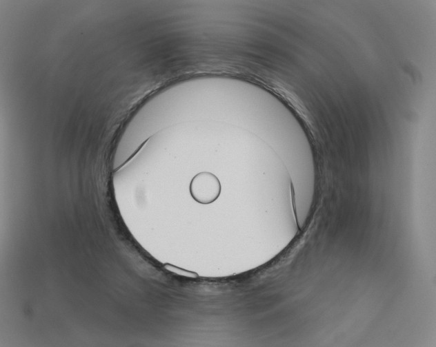 X0000112760305200910011221