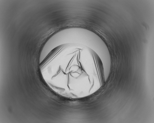 X0000112760309200910011221