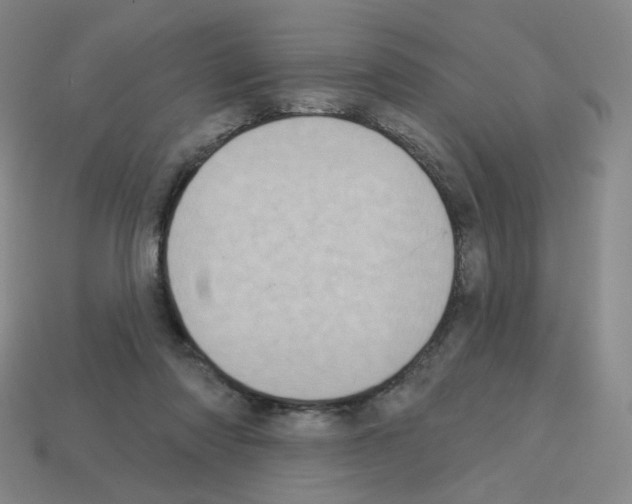 X0000112760310200910011221