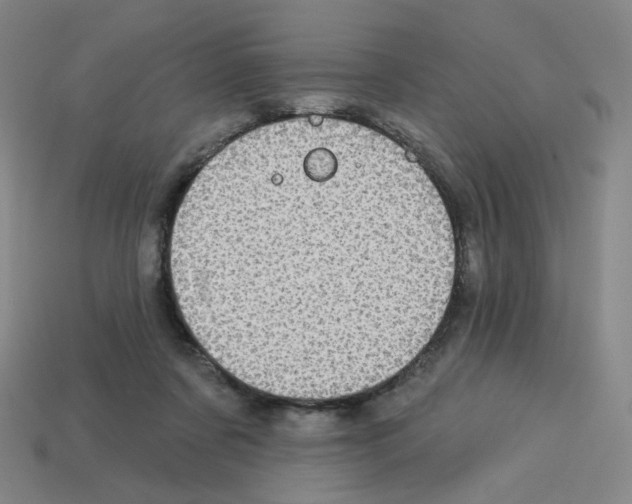 X0000112760311200910011221
