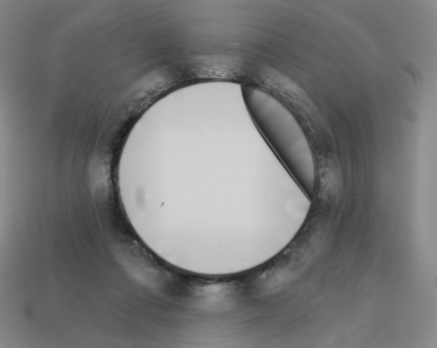 X0000112760312200910011221