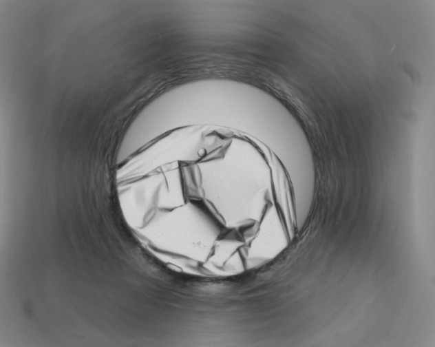 X0000112760313200910011221