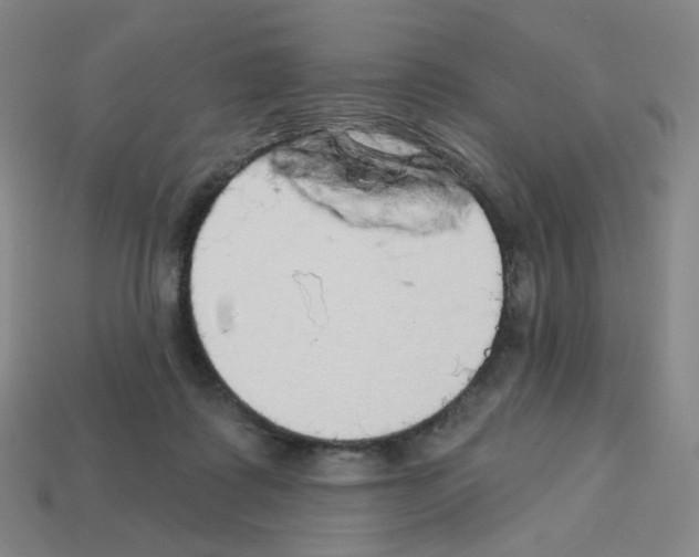 X0000112760315200910011221