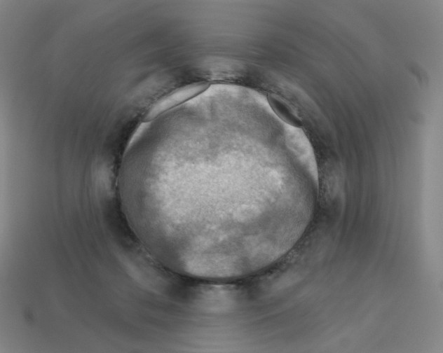 X0000112760316200910011221