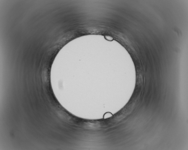 X0000112760317200910011221