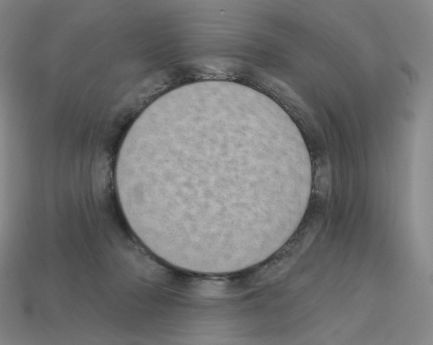 X0000112760318200910011221