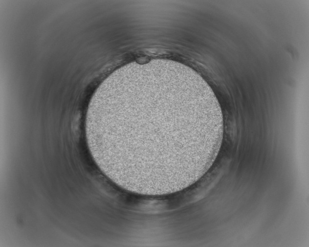 X0000112760319200910011221