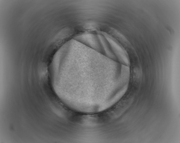 X0000112760320200910011221