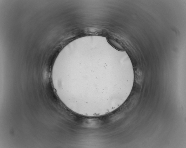 X0000112760324200910011221