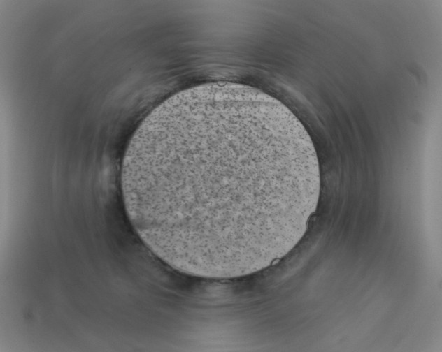 X0000112760325200910011221