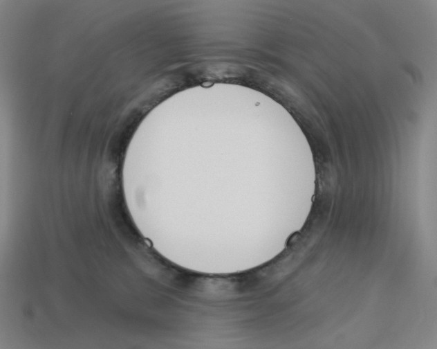 X0000112760327200910011221