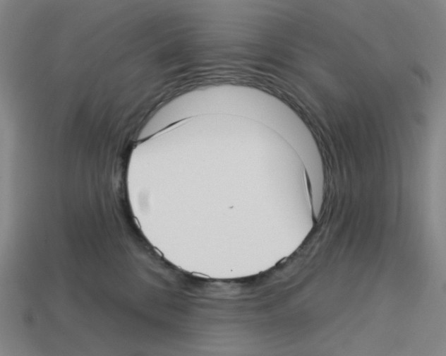 X0000112760328200910011221