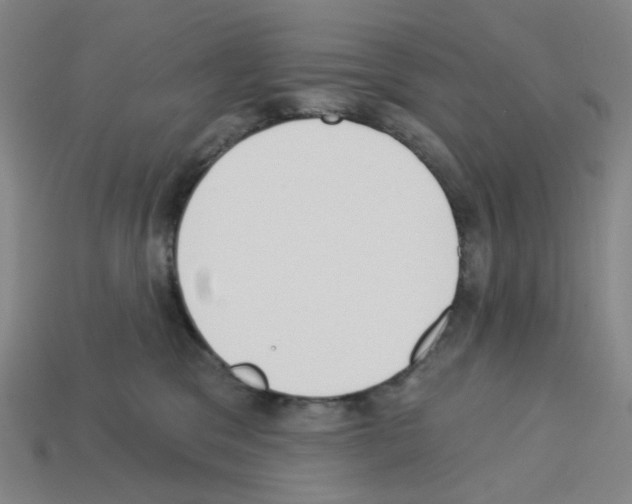 X0000112760329200910011221