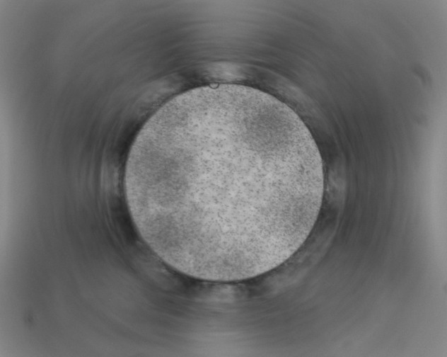 X0000112760330200910011221