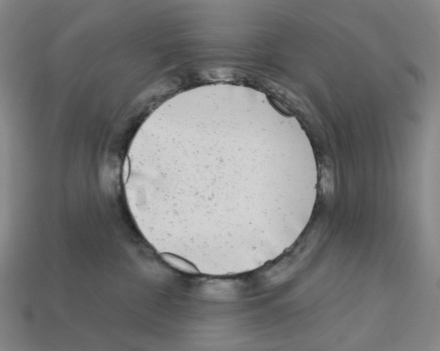 X0000112760332200910011221
