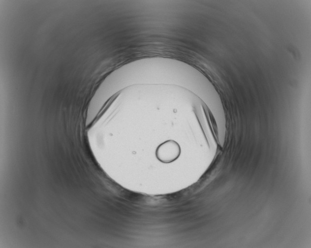 X0000112760333200910011221