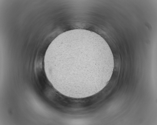 X0000112760334200910011221
