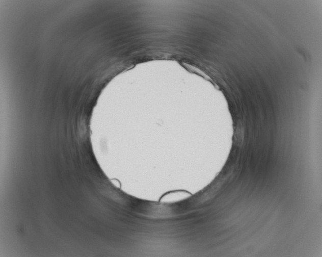 X0000112760335200910011221