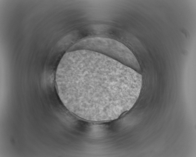 X0000112760336200910011221