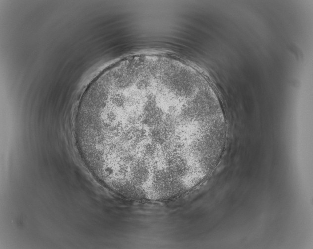 X0000112760337200910011220