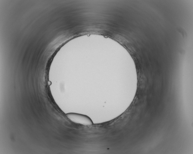 X0000112760338200910011220
