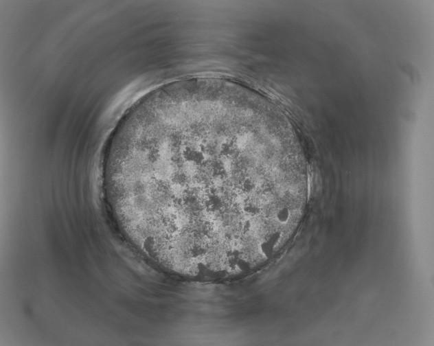 X0000112760339200910011220