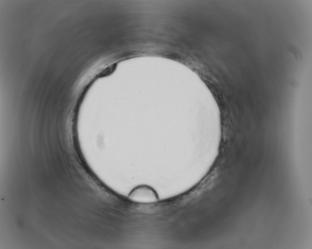 X0000112760341200910011220
