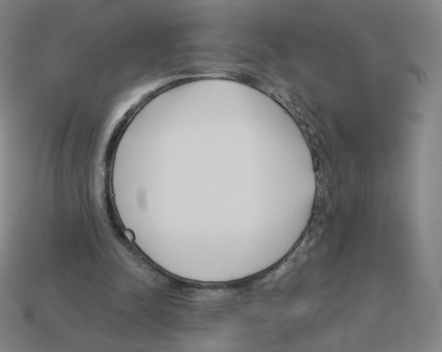 X0000112760342200910011220