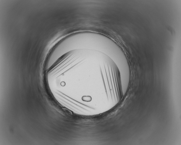 X0000112760344200910011220