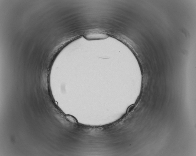 X0000112760345200910011220