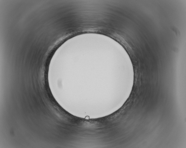 X0000112760346200910011220