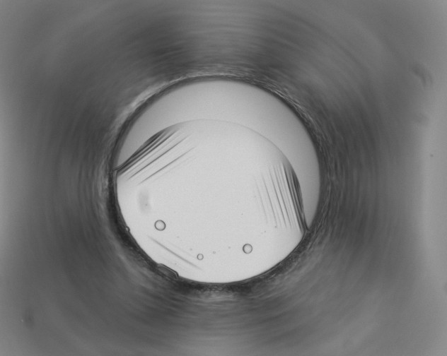 X0000112760348200910011220