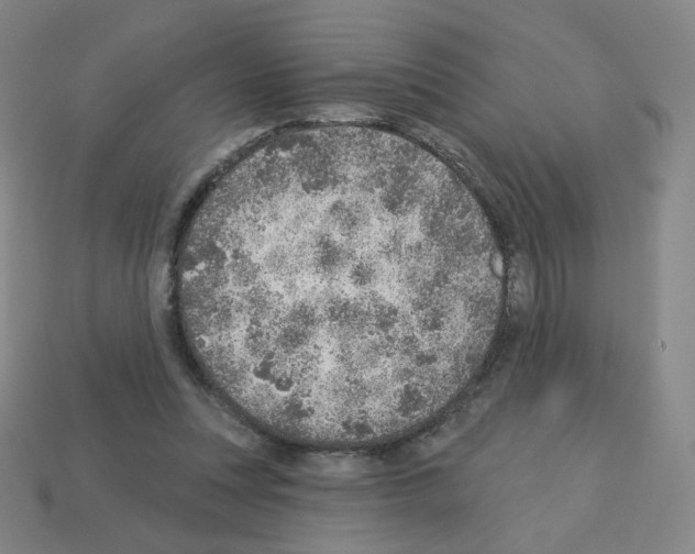 X0000112760351200910011220