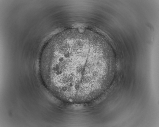X0000112760353200910011220