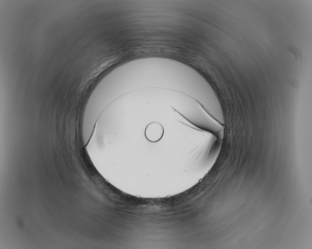X0000112760356200910011220