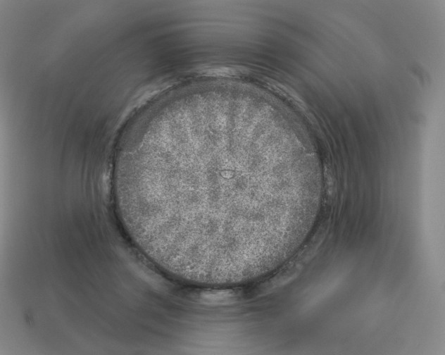 X0000112760357200910011220