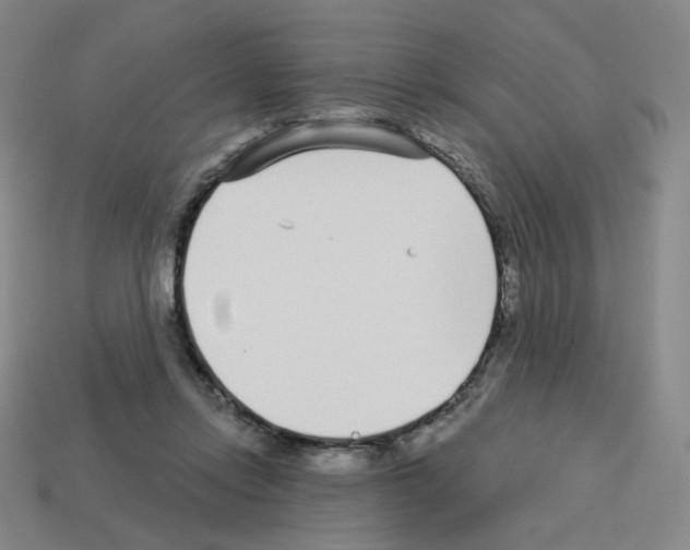 X0000112760358200910011220