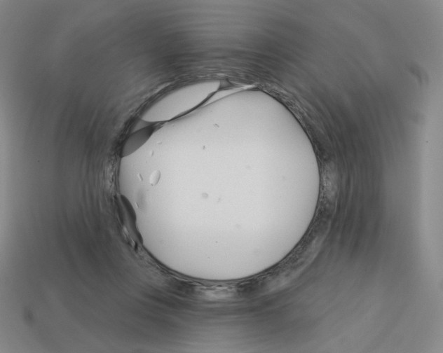 X0000112760359200910011220