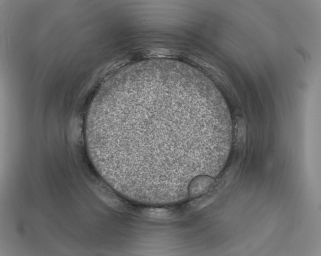 X0000112760361200910011220