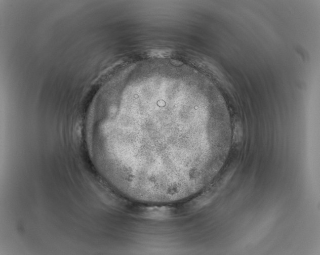 X0000112760363200910011220