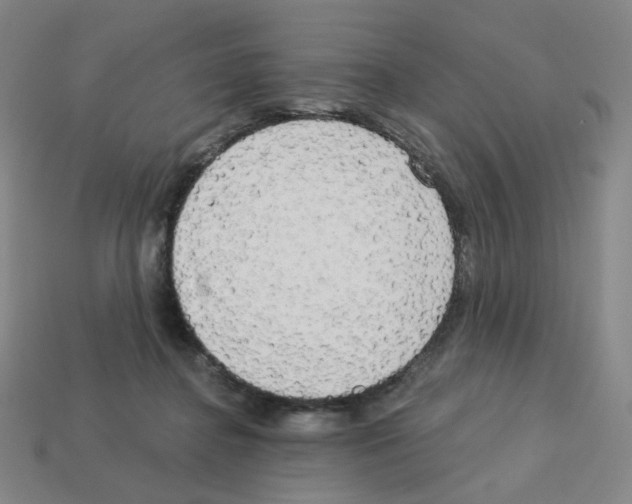 X0000112760364200910011220