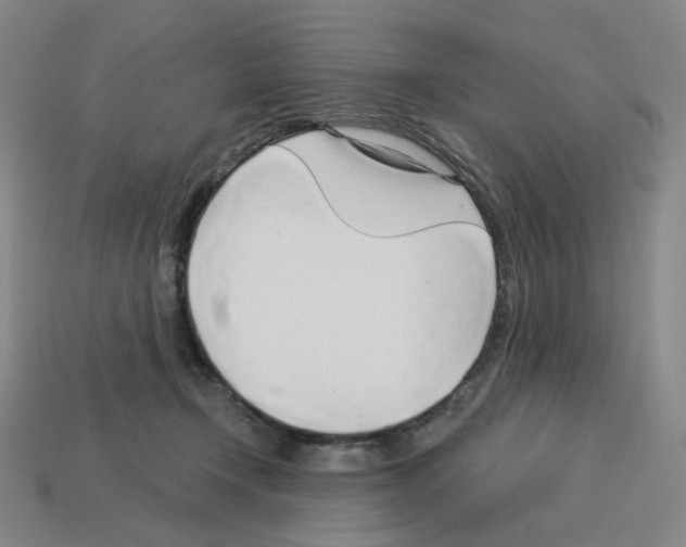 X0000112760366200910011220